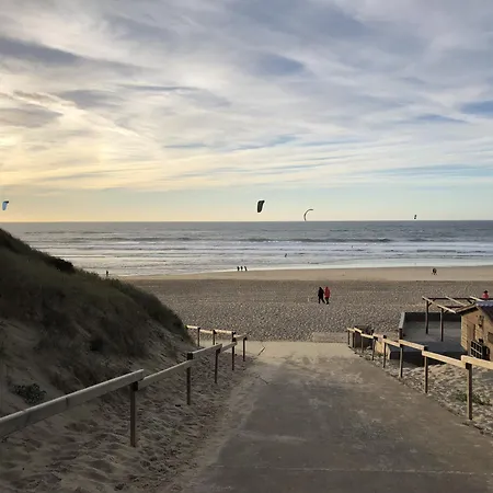 Maison Bois Proche De L'atlantique * Mézos
